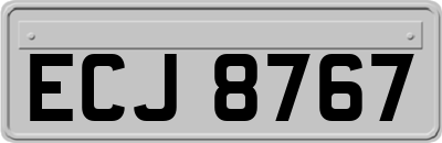 ECJ8767