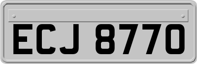 ECJ8770