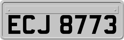 ECJ8773