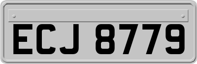 ECJ8779