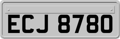ECJ8780