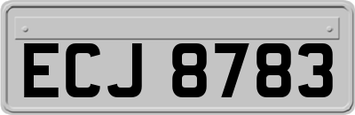 ECJ8783