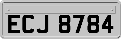 ECJ8784