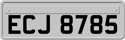 ECJ8785
