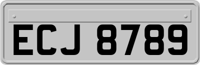 ECJ8789