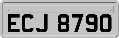 ECJ8790