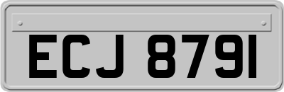 ECJ8791