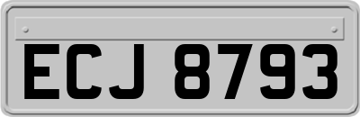 ECJ8793