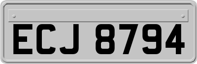 ECJ8794