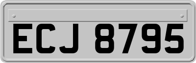 ECJ8795