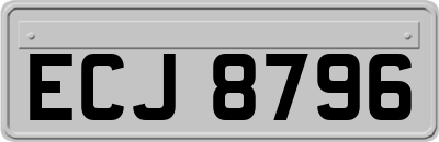 ECJ8796