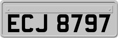 ECJ8797