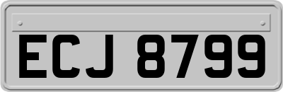 ECJ8799