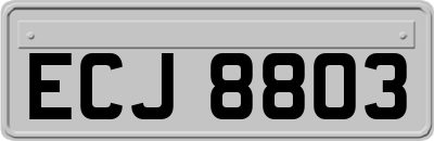 ECJ8803