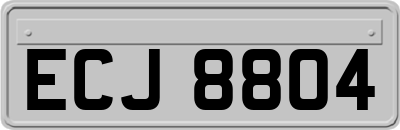 ECJ8804
