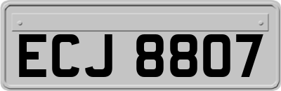 ECJ8807