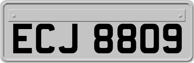 ECJ8809