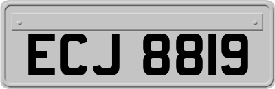 ECJ8819