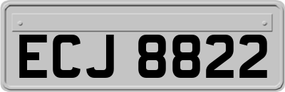 ECJ8822