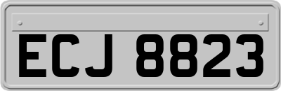ECJ8823