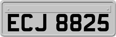ECJ8825
