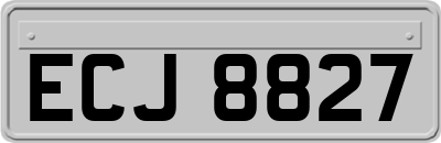 ECJ8827