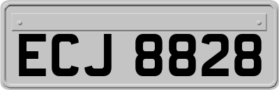 ECJ8828