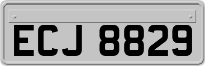 ECJ8829