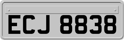 ECJ8838