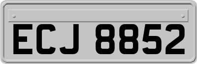 ECJ8852