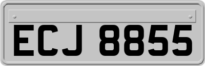 ECJ8855