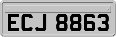 ECJ8863