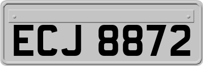ECJ8872