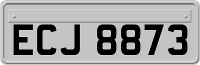 ECJ8873