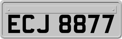 ECJ8877
