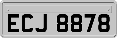 ECJ8878