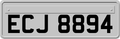 ECJ8894
