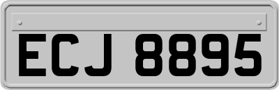 ECJ8895