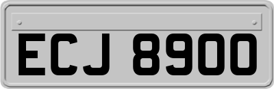 ECJ8900
