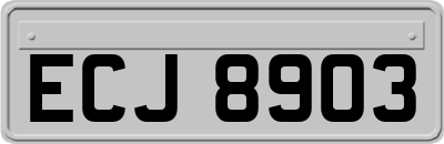 ECJ8903