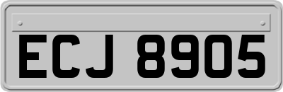 ECJ8905