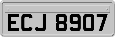ECJ8907