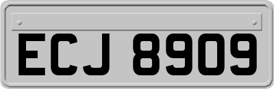 ECJ8909