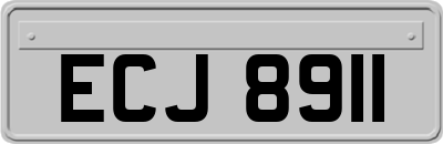 ECJ8911