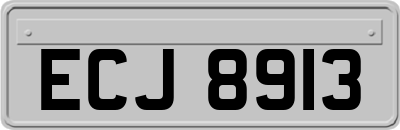 ECJ8913