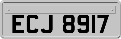 ECJ8917