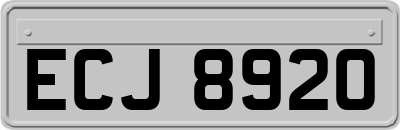 ECJ8920