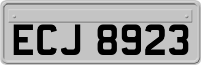 ECJ8923