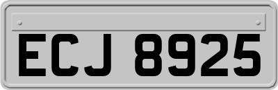 ECJ8925