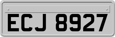ECJ8927